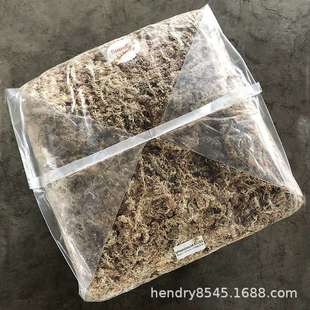 智利5星白草 干水苔 干苔藓 水草 爬虫 兰花 微景观 食虫植物用