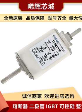 170M3810 170M3811 直流快速熔断器 库存充足 型号齐全现货