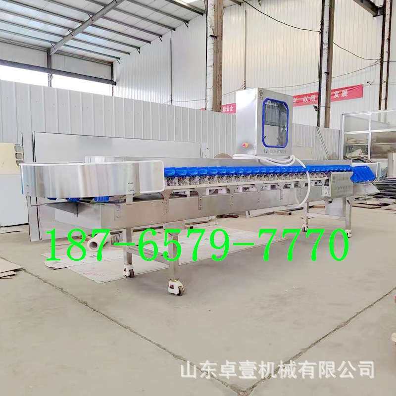 脐橙重量分拣机 自动重量分级机 转盘式重量分选机 304不锈钢材质