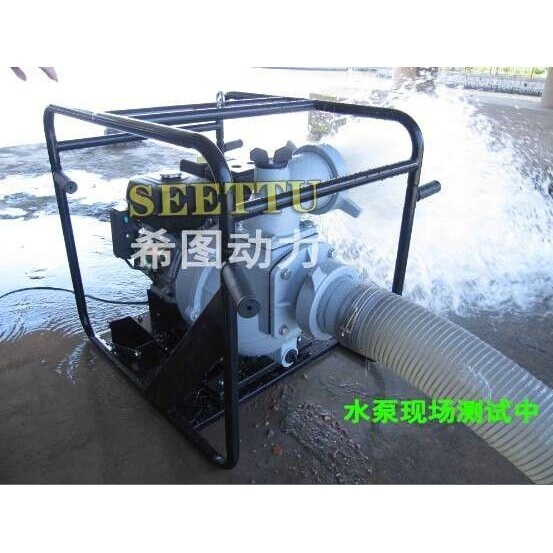 （厂家直供 ）排污泵 厂家直供 污水泵3寸 汽油污水泵,鲜花速递/花卉仿真/绿植园艺,割草机/草坪机,淘宝优惠券,粉丝福利购,淘宝优惠卷