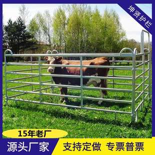 牛马圈围栏 跑马场护栏 牛羊舍栅栏 镀锌格栅 畜牧业养殖围栏厂家