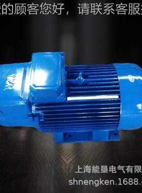 起重电动机YZR12596M1-.6 223三W相异步电机YZR电机绕线转子马达
