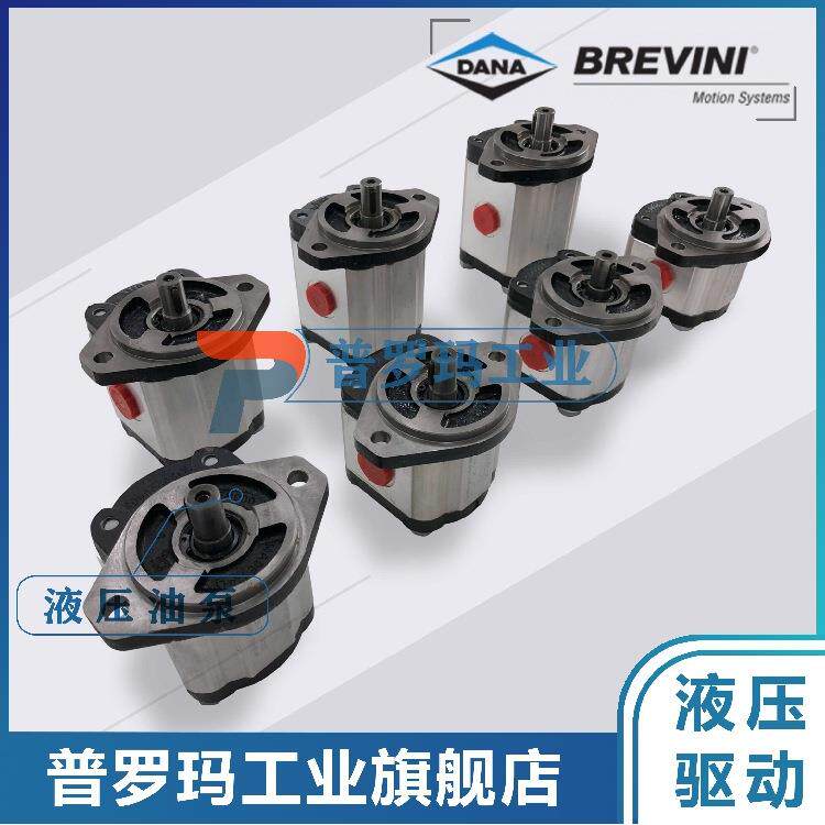 BREVINI油泵OT200P08D/P28P2 G28 B25B2 B23 B25B4 B5 B24B6 B7