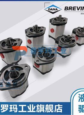 BREVINI油泵OT200P08D/P28P2 G28 B25B2 B23 B25B4 B5 B24B6 B7
