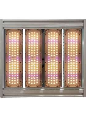 直供240W480W720W防水大功率LED植物灯温室蔬菜花卉种植灯跨境