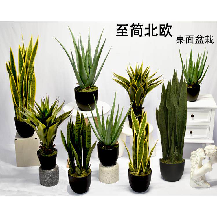 北欧仿真虎皮兰芦荟盆栽假龙舌尾兰绿植物盆景橱窗装饰摆件样板房