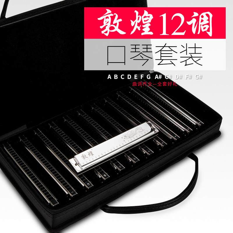 敦煌口琴 复音C调演奏口琴12调别套装口琴ABDEFGC#D#F#G#A#调