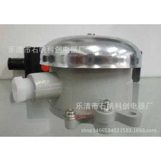 防爆电铃 BDL-125防爆电铃(IIB IIC级)36V 110V 220V警玲.