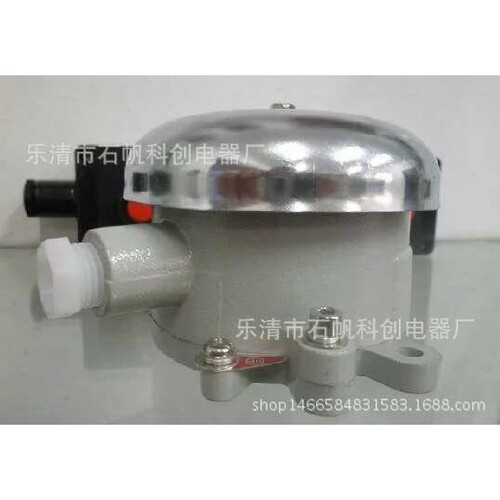 防爆电铃 BDL-125防爆电铃(IIB IIC级)36V 110V 220V警玲.