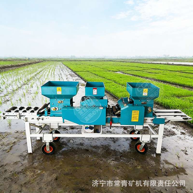水稻育秧播种机厂家 多功能流水线一体机铺土压穴播种育苗机