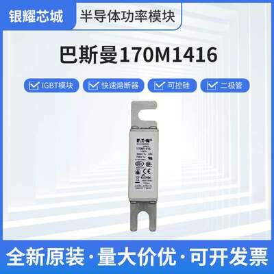 巴斯曼170M1416限流式人防熔断器