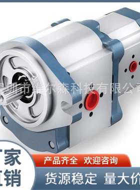 HPLPA206 邦贝齿轮泵,意大利Bondioli&Pavesi型液压泵