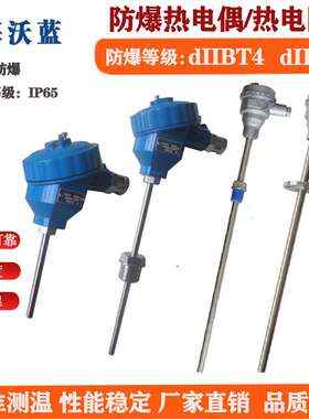 防爆热电偶dIIBT4/dIICT6铠装热电偶EX多点防爆一体化温度变送器