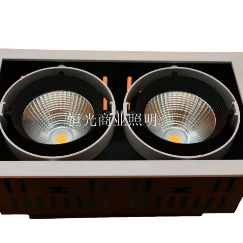 LED双头防眩豆胆灯 COB格栅灯 10W12W豆胆灯