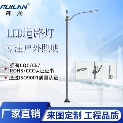 LED市电路灯6米8米10米12米市政道路公园景区厂区农村30-100W超亮