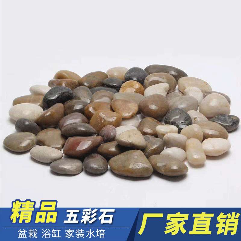 多肉花盆鱼缸装饰石头小石子庭院五彩色天然鹅卵石南京雨花石原石