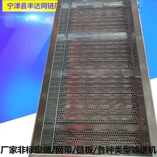 带料斗冲孔链板提升机 沙石分离清洗蔬菜带电机304不锈钢提升机