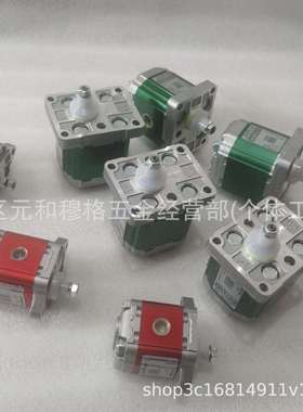 迪普马DUPLOMATIC齿轮泵GP10013R97F20N GP10020R97F20N高压油泵