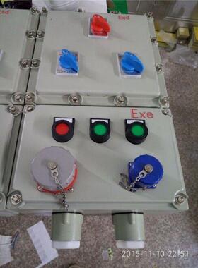 防爆仪表箱 PLC防爆电气控制箱 供应低压成套防爆配电 浙创防爆