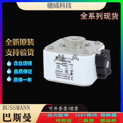 巴斯曼170M6570 170M6571 170M6581 加工制作价优 快速熔断器