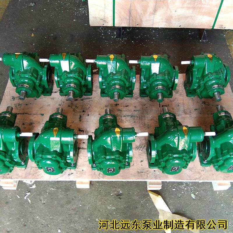 燃料油供油泵用KCB633齿轮泵配11KW-6电机用于某颜料公司