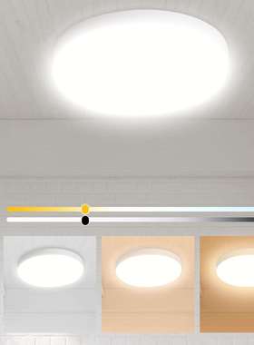 LED灯 新款智能36W吸顶灯配件亮度可调节 遥控吸顶灯 适用客厅