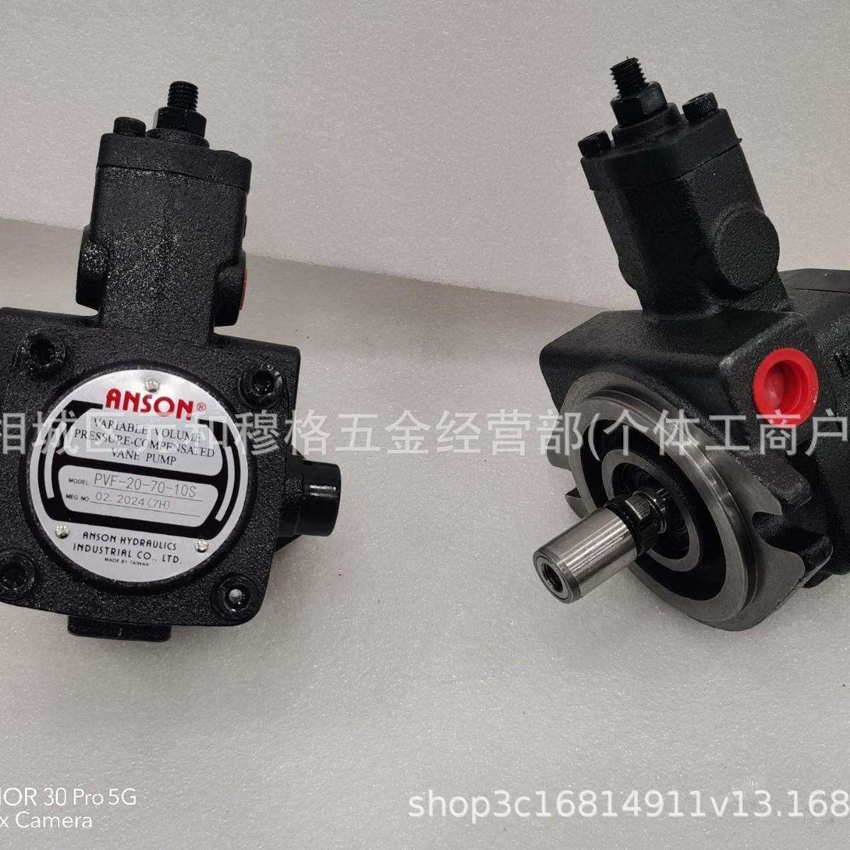 ANSON安颂PVF-30-70-11S叶片油泵PVF-40 20 12 15-20/35/55-10S,鲜花速递/花卉仿真/绿植园艺,割草机/草坪机,淘宝优惠券,粉丝福利购,淘宝优惠卷