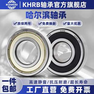 哈尔滨免维护轴承型号大全6300电机63016302 6303 6304 6305RS