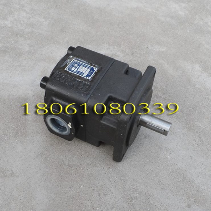 片DY压单叶片泵125泵-油泵-中量6叶片泵 联BY3叶.B.D定