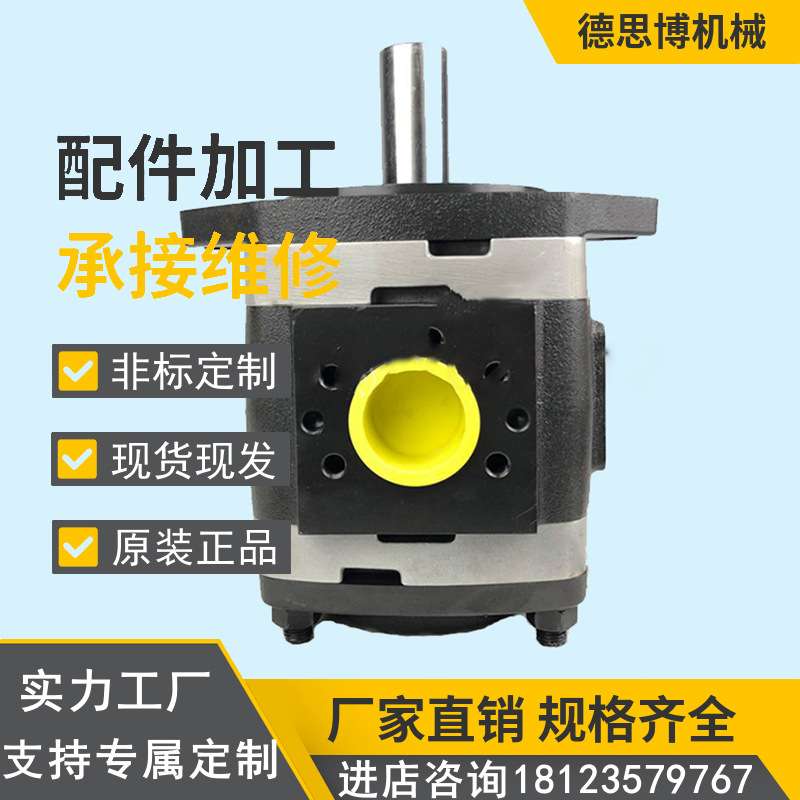 VIOTH德国福伊特原装进口高压内齿轮泵IPV4-25-171摊铺机油压机泵