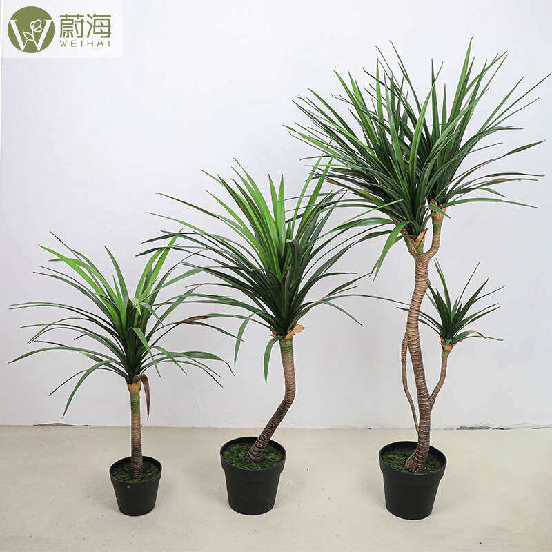仿真龙血树大型绿植客厅办公室内植物剑麻落地盆栽装饰场景布置