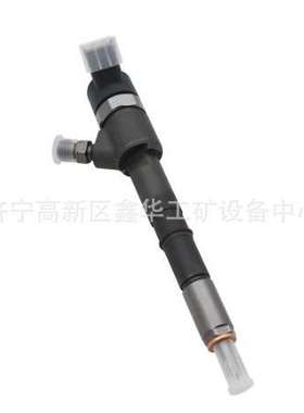 专业销售发动机配件RE527598喷油器油泵 RE48786