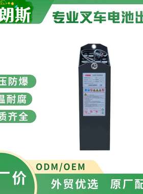铅酸蓄电池 2HPzS250 科朗托盘车WP3030电瓶组 24V250Ah