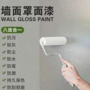 罩面漆透明光油墙面防水清漆亮光乳胶漆罩光漆室内外墙绘保护漆