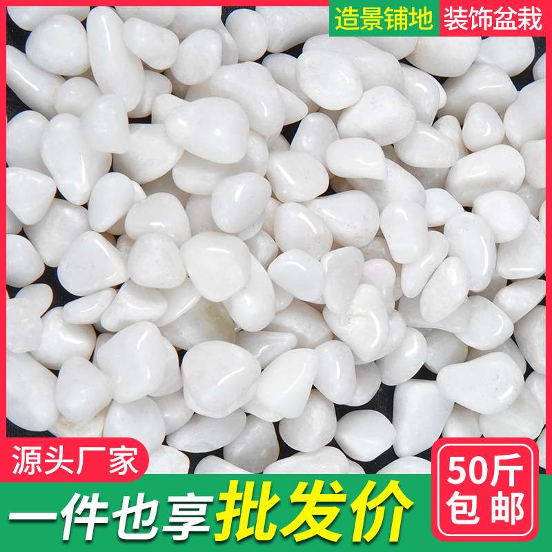 白色鹅卵石天然抛光砾石花园白石子颗粒地庭院铺暖小石头造景装饰