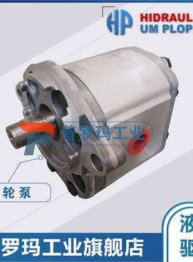 HESPER微型铝合金齿轮泵油泵HP2-5.5-1-1111AHP2-6.3-12