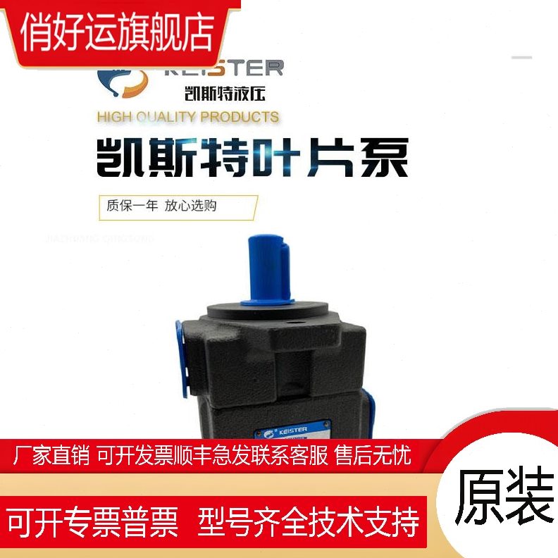 2319- V231RI 1410ST叶片泵泵PKE728液压油  25 1-F1RER 凯斯特