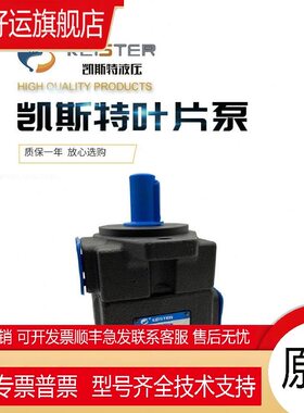 2319- V231RI 1410ST叶片泵泵PKE728液压油  25 1-F1RER 凯斯特