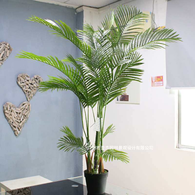 广州仿真凤尾葵绿植盆栽室内装饰仿真树夏威夷葵假植物厂家可