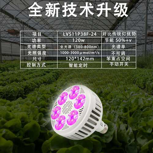 工厂 120W大功率PAR38全光谱UV IR E27植物补光多肉火龙果灯泡