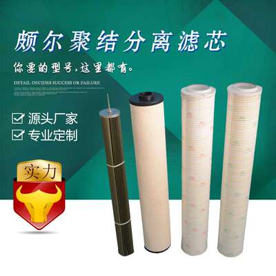 替代 颇尔HEP HVP 真空滤油机滤芯HC9100FCZ8Z 进口滤芯 出口滤芯