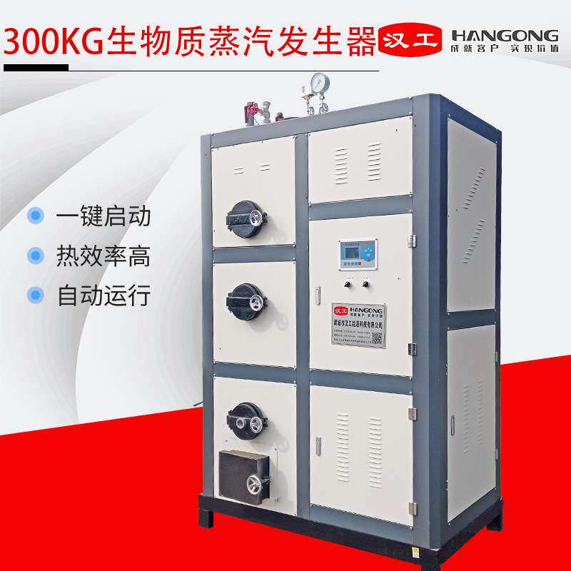 全自动小型生物质蒸汽发生器 0.3吨生物质立式工业商用蒸汽锅炉