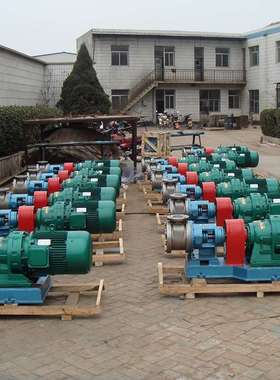 高粘度液体泵NYP110-RU-T1-W11泵配XWD11KW-6-7