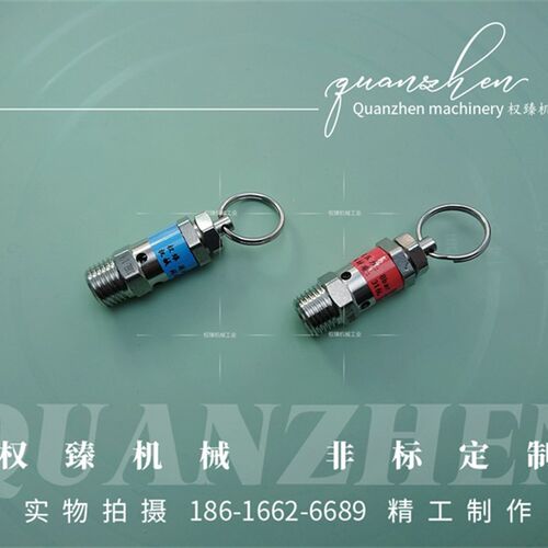 不锈钢316L气泵空压机安全阀卸荷阀泄压阀自动排气阀 2分 R ZG1/4