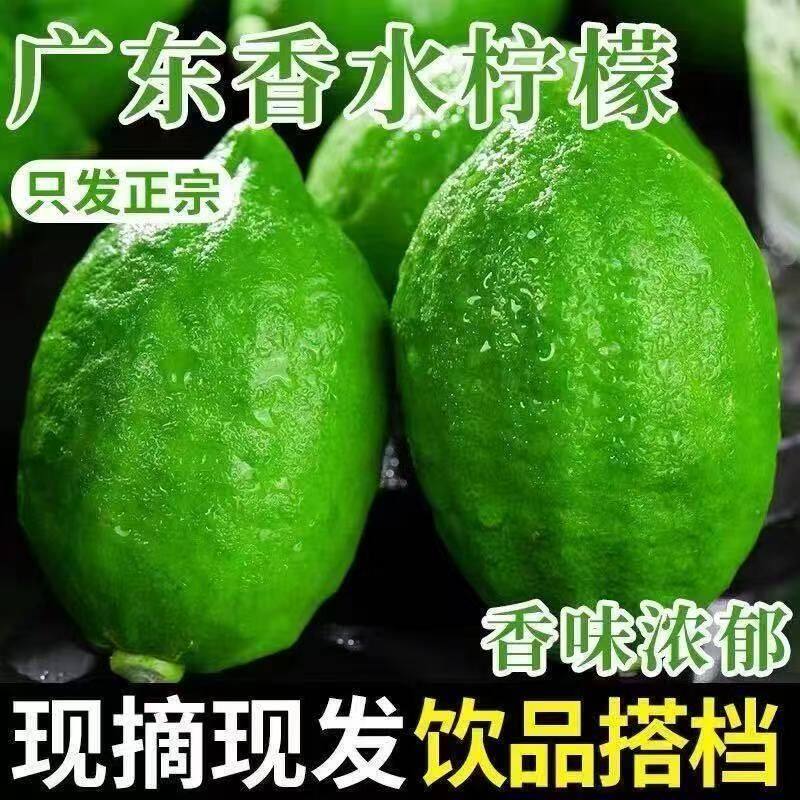 新鲜现摘正宗广东香水柠檬浓香型爆香型手打柠檬茶奶茶店专用柠檬