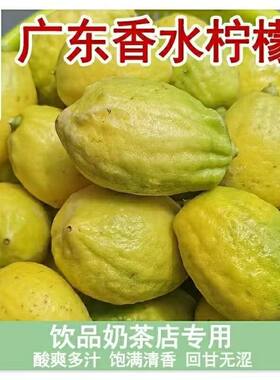 5斤广东香水柠檬黄果柠檬