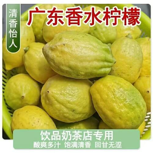 5斤广东香水柠檬黄果柠檬