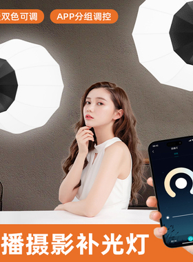 SOULMATE数魅E300Bi 300W双色温LED直播间补光灯直播灯发丝灯暖光深抛常亮灯摄影棚专业摄影灯支持App手机控