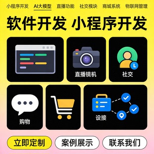 APP开发定制 小程序制作物联网系统 直播社交商城 管理软件AI开发