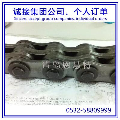 DBC东宝防锈滚子100-1 120-2 140-3单片飞轮链条工业流水线链条